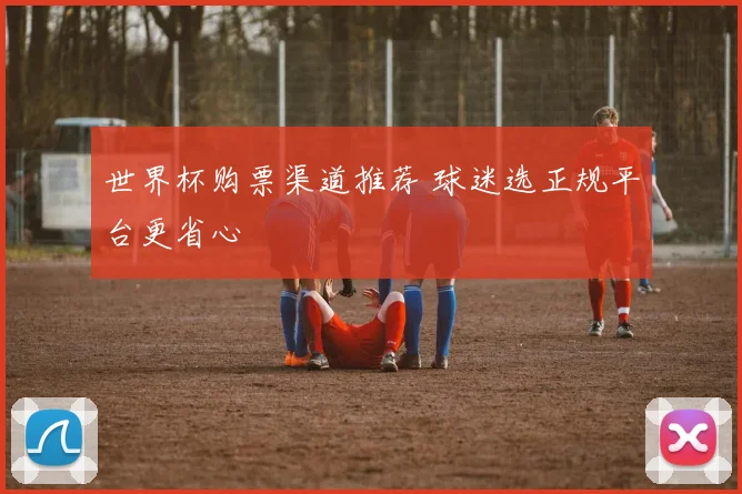 世界杯购票渠道推荐 球迷选正规平台更省心