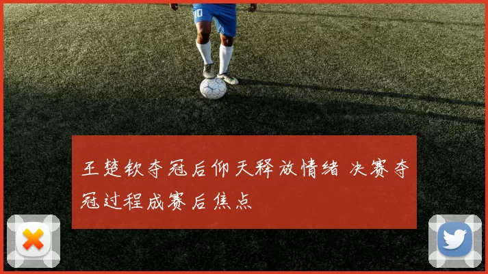 王楚钦夺冠后仰天释放情绪 决赛夺冠过程成赛后焦点